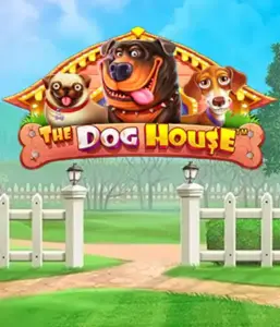 Experience Pragmatic Play's The Dog House adventure, featuring a delightful journey into the world of charming canines. Discover features such as multipliers, perfect for providing entertaining gameplay. Ideal for animal enthusiasts an amusing setting with a chance for big wins.